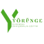 Yörünge